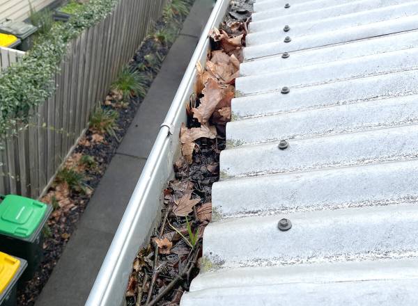 Gutter Cleaning Services in Melbourne